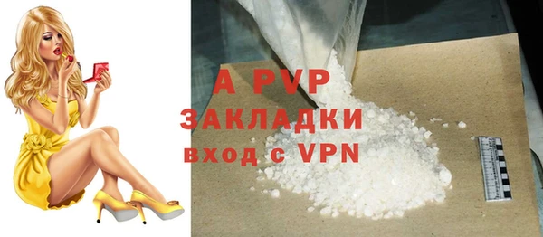 Альфа ПВП Белокуриха
