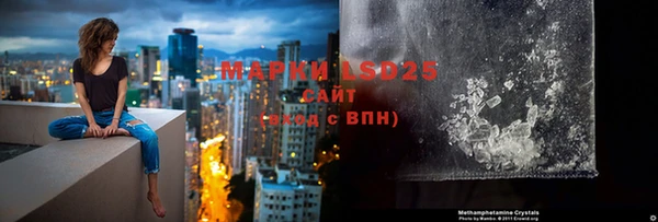 ГАЛЛЮЦИНОГЕННЫЕ ГРИБЫ Белоозёрский
