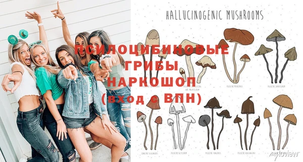 Альфа ПВП Белокуриха