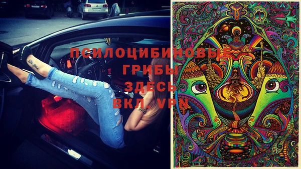 ГАЛЛЮЦИНОГЕННЫЕ ГРИБЫ Белоозёрский