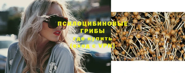 гашик Богородск