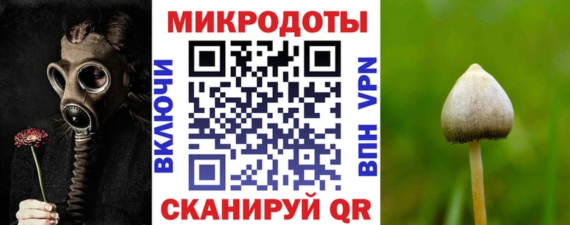 где купить наркоту  Гулькевичи  Галлюциногенные грибы MAGIC MUSHROOMS 